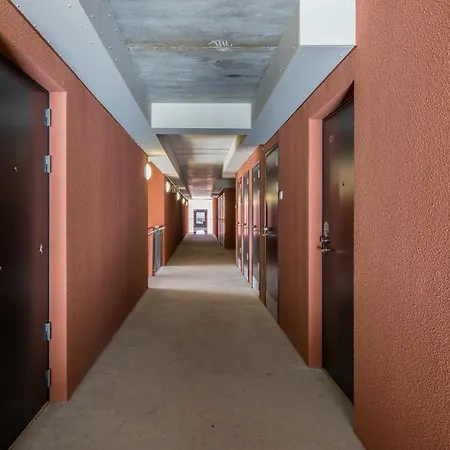 Hiisi Homes Laajakallio 公寓 基尔科努米